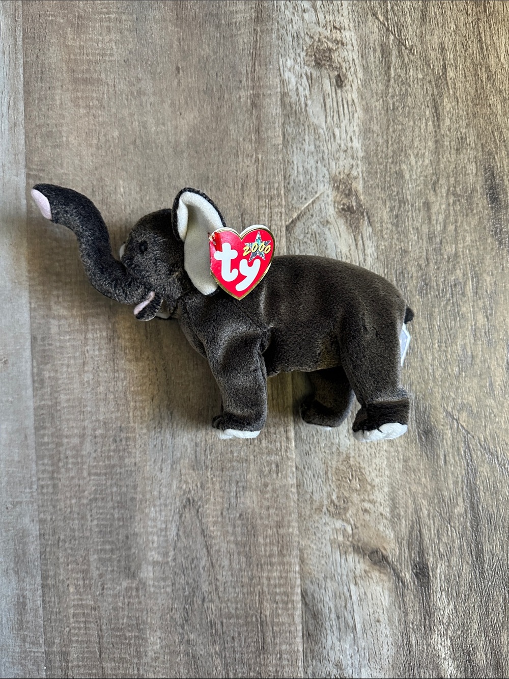 Ty Dark Brown Elephant Plush with Cream Ear Details